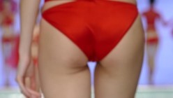 预览图6