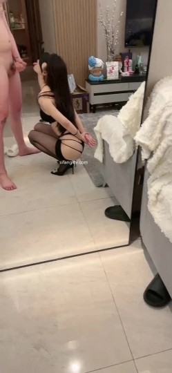 预览图4