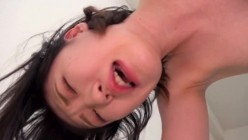预览图7