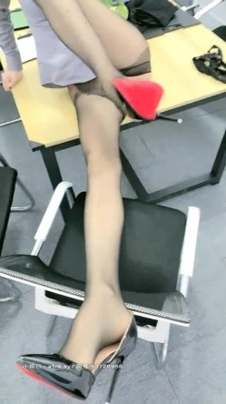 预览图5