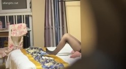 预览图4