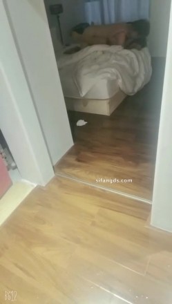预览图7