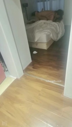 预览图8