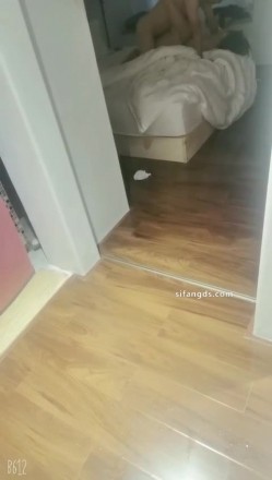 预览图16