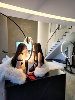 预览图4