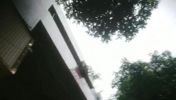 预览图4