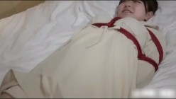 预览图4