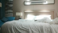 预览图5