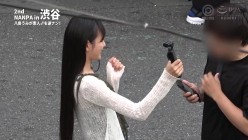 预览图6