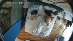 预览图3