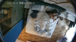 预览图14