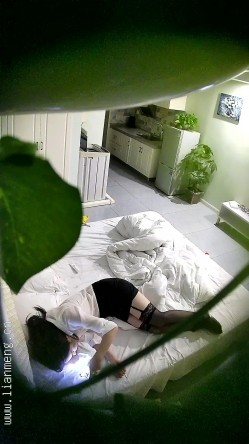 预览图4
