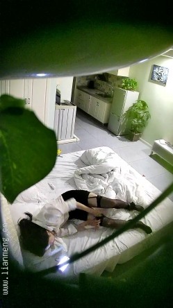 预览图5