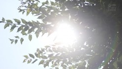 预览图12