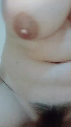 预览图8