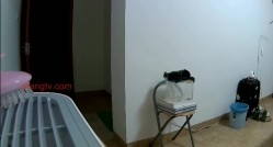 预览图10