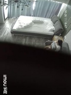 预览图4