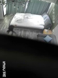 预览图16