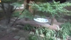 预览图1