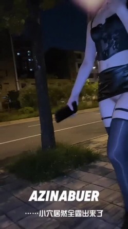 预览图3