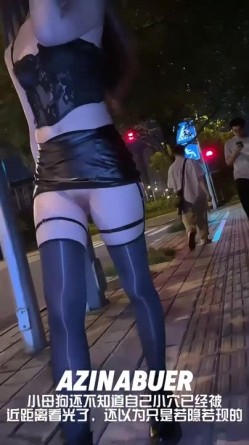 预览图11