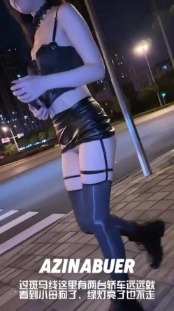 预览图13