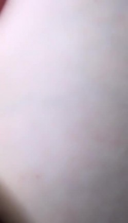 预览图4