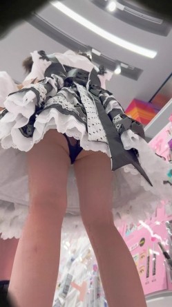 预览图2