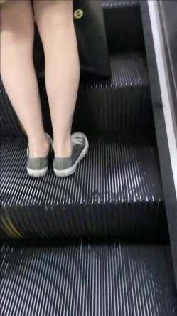 预览图5