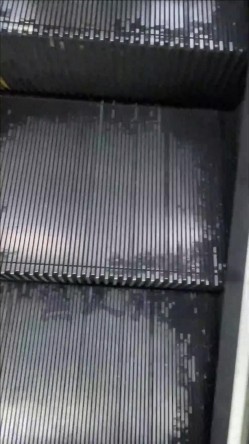 预览图6