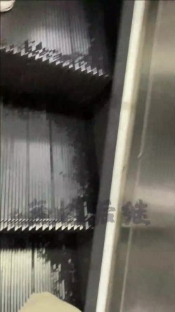 预览图11