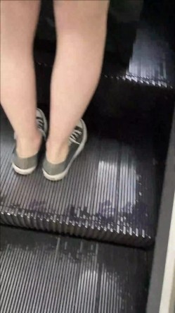 预览图12