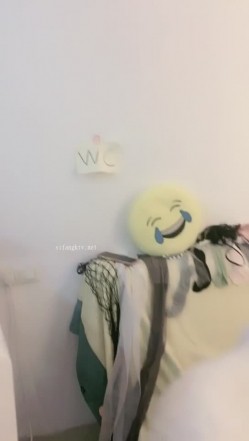 预览图2