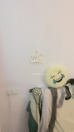 预览图4