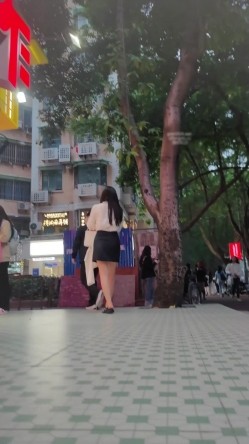 预览图9