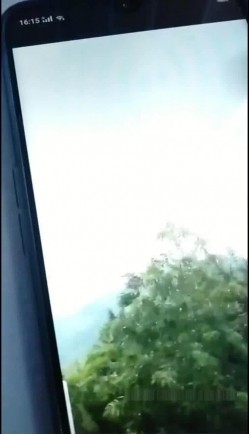 预览图14