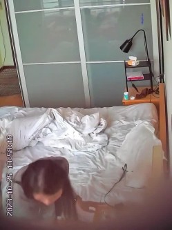 预览图4