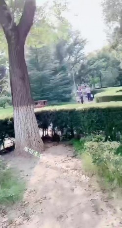 预览图14
