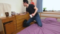 预览图2