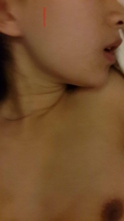 预览图5