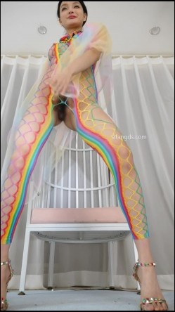 预览图4