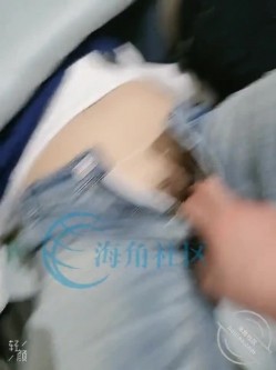 预览图7