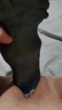 预览图6