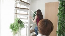 预览图8