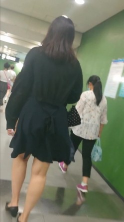 预览图5