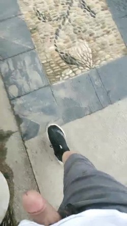 预览图5
