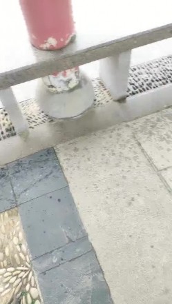 预览图7
