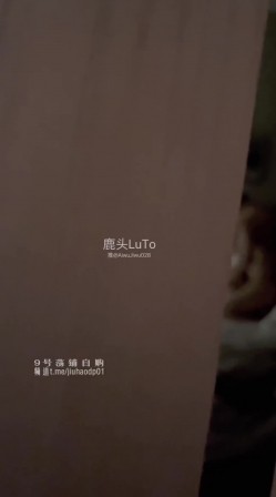 预览图4