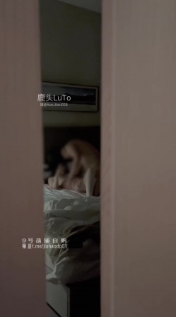 预览图8