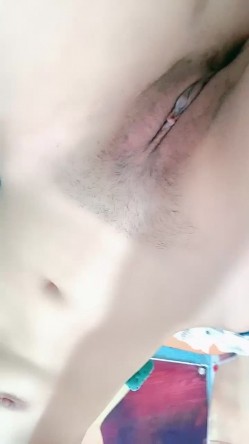 预览图12